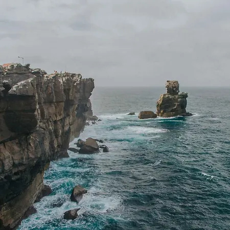 Rimavier מוטל פניש